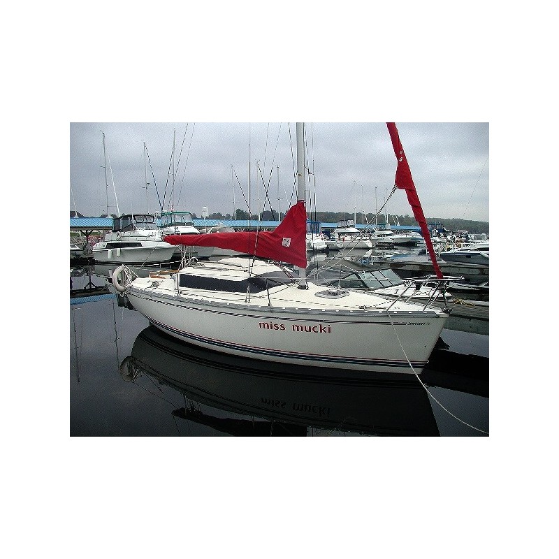 Pare-brise en plexiglass pour Tonic 23