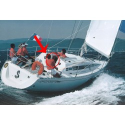 Porte de descente First 28 en plexiglass pour bateau