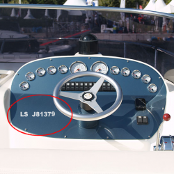 Immatriculation cockpit