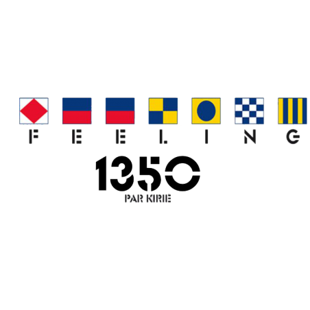 Sticker Feeling logo 1350 pour coque de bateau.