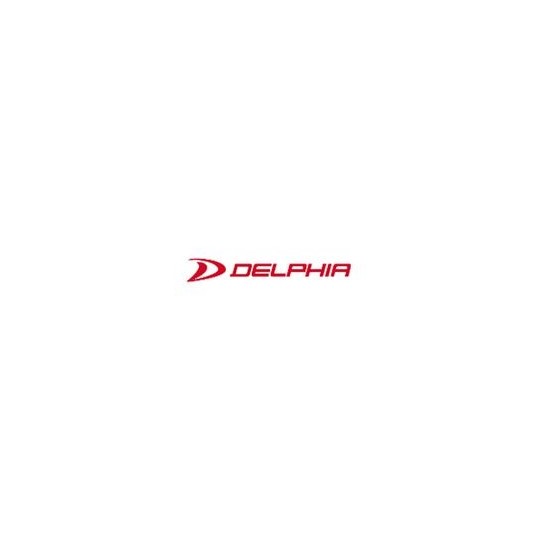 Decalque do logotipo da Delphia