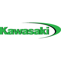 Sticker Logo Kawasaki Vert