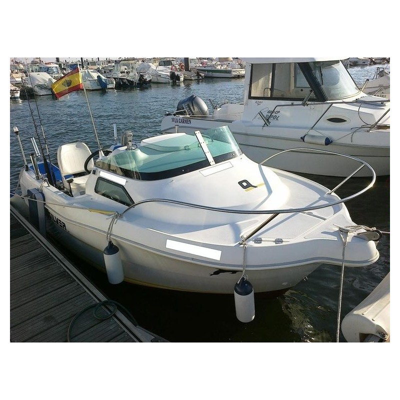 Pare-brise pour Quicksilver 450