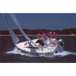 Porte de descente First 235