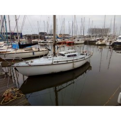copy of Edel 4 porthole