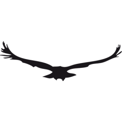 Sticker Aigle Adhésif pour Bateau