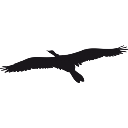 Sticker Aigle Adhésif pour Bateau