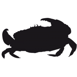 Sticker Crabe Adhésif pour Bateau