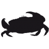 Sticker Crabe Adhésif pour Bateau