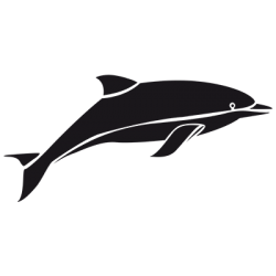Sticker Dauphin Adhésif pour Bateau