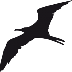 Sticker Mouette Adhésif pour Bateau