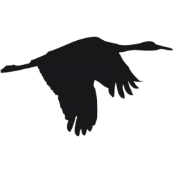 Sticker Oie Adhésif pour Bateau