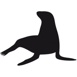 Sticker Phoque Adhésif pour Bateau