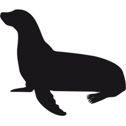 Sticker Phoque Adhésif pour Bateau