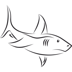 Sticker Requin Adhésif pour Bateau