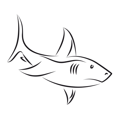 Sticker Requin Adhésif pour Bateau