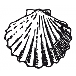 Sticker Saint-jacques Adhésif pour Bateau