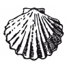 Sticker Saint-jacques Adhésif pour Bateau