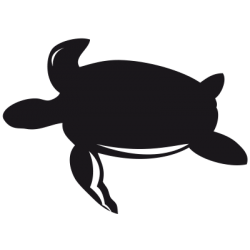 Sticker Tortue Adhésif pour Bateau