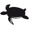 Sticker Tortue Adhésif pour Bateau