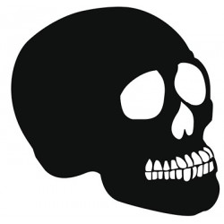 Crâne 2 adhésif pour bateau