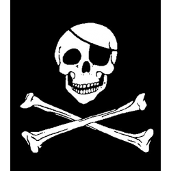 Sticker Drapeau Pirate adhésif pour bateau