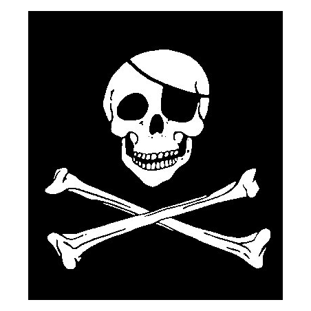Sticker Drapeau Pirate adhésif pour bateau