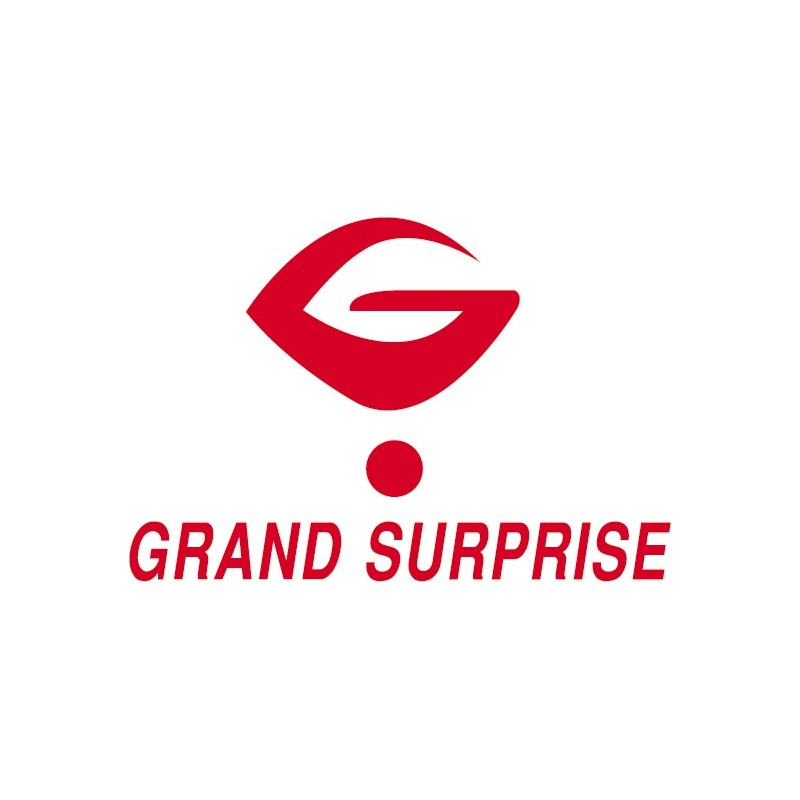 Sticker Logo Grand surprise