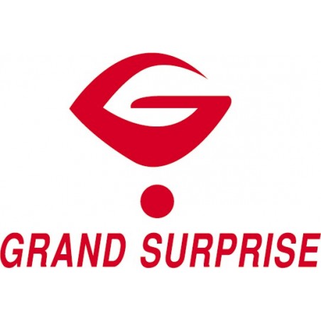 Sticker Logo Grand surprise